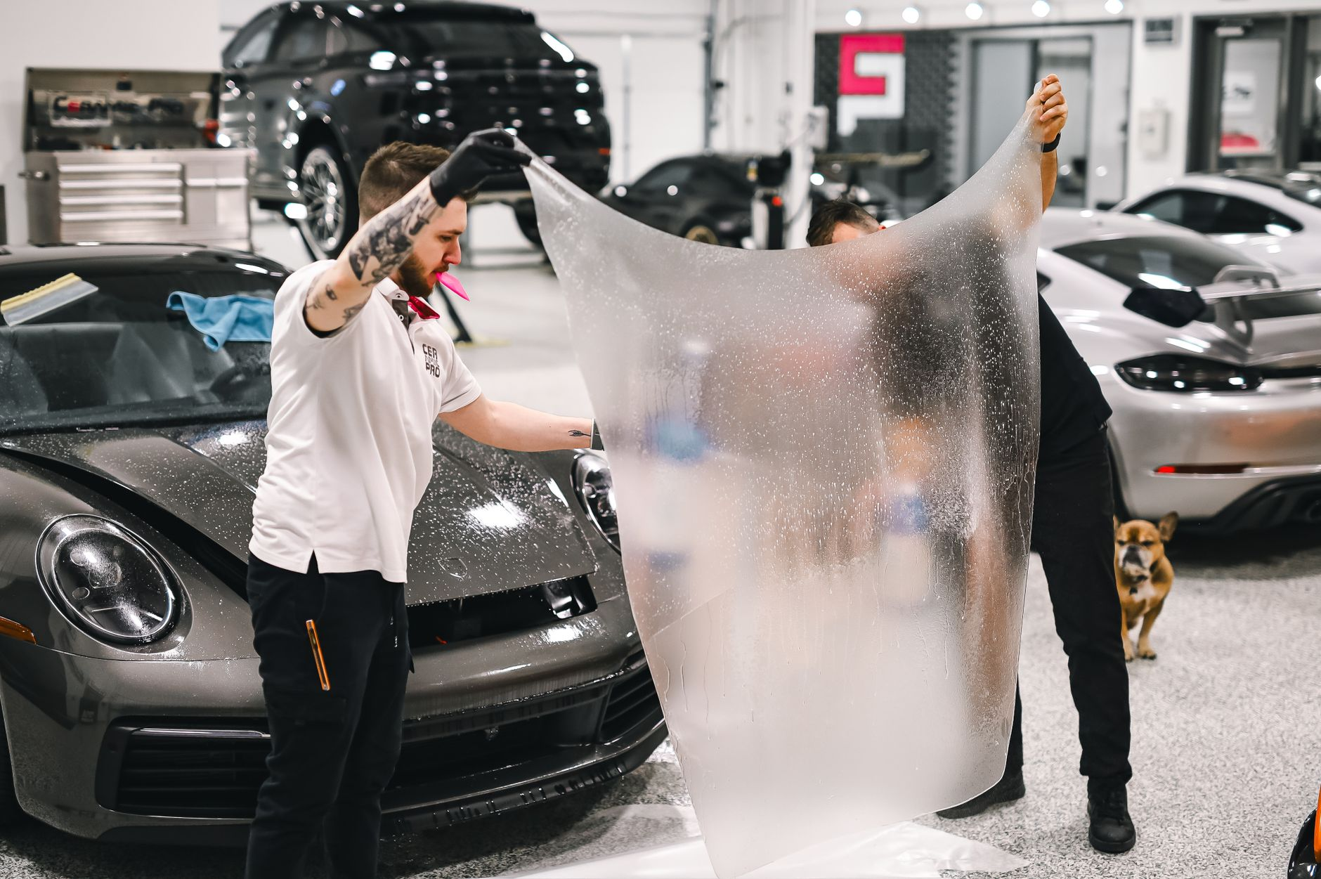 car paint protection film